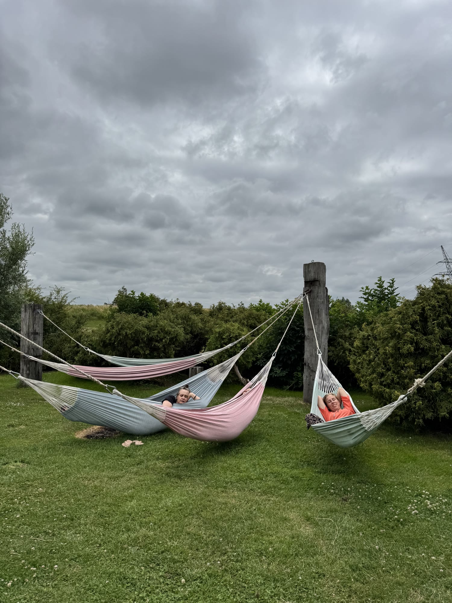 Het weidse land met de horizon rond de yurt